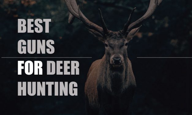 5 Best Guns for Deer Hunting