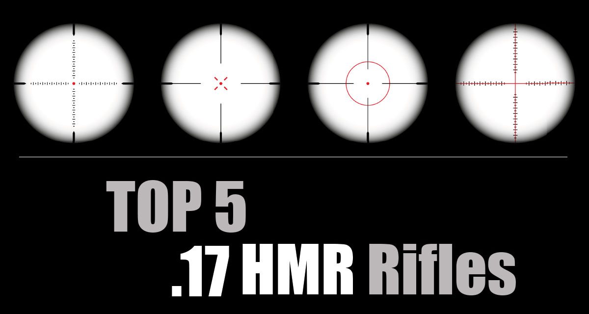 Best .17 HMR Rifles