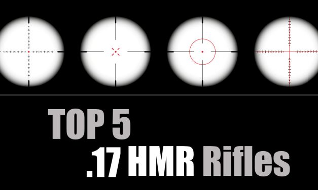 Best .17 HMR Rifles